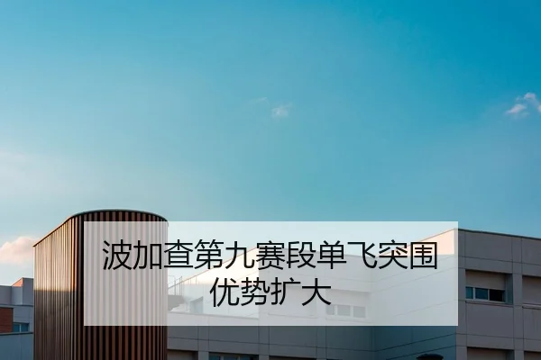 波加查第九赛段单飞突围 优势扩大