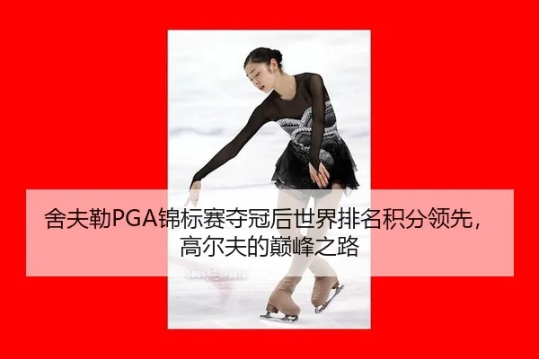 舍夫勒PGA锦标赛夺冠后世界排名积分领先，高尔夫的巅峰之路